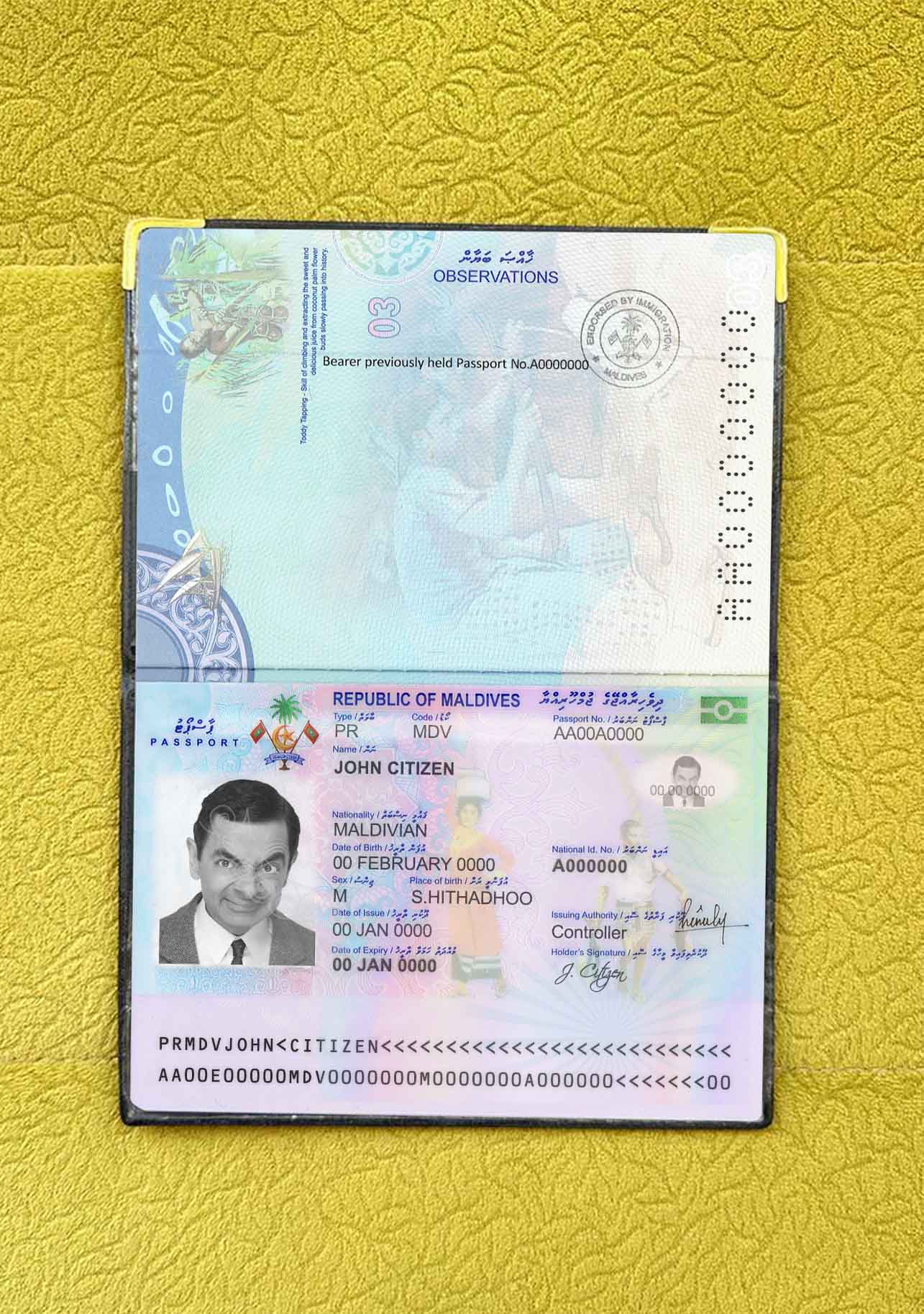 Maldives passport photo look PSD template